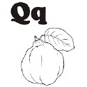 Fruit and Vegetable Letter Q