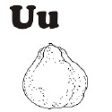 Fruit and Vegetable Letter U