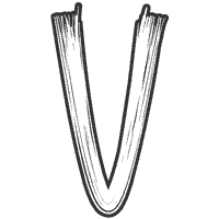 Brush Strokes Letter V