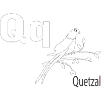 Playful Animals Letter Q