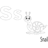 Playful Animals Letter S